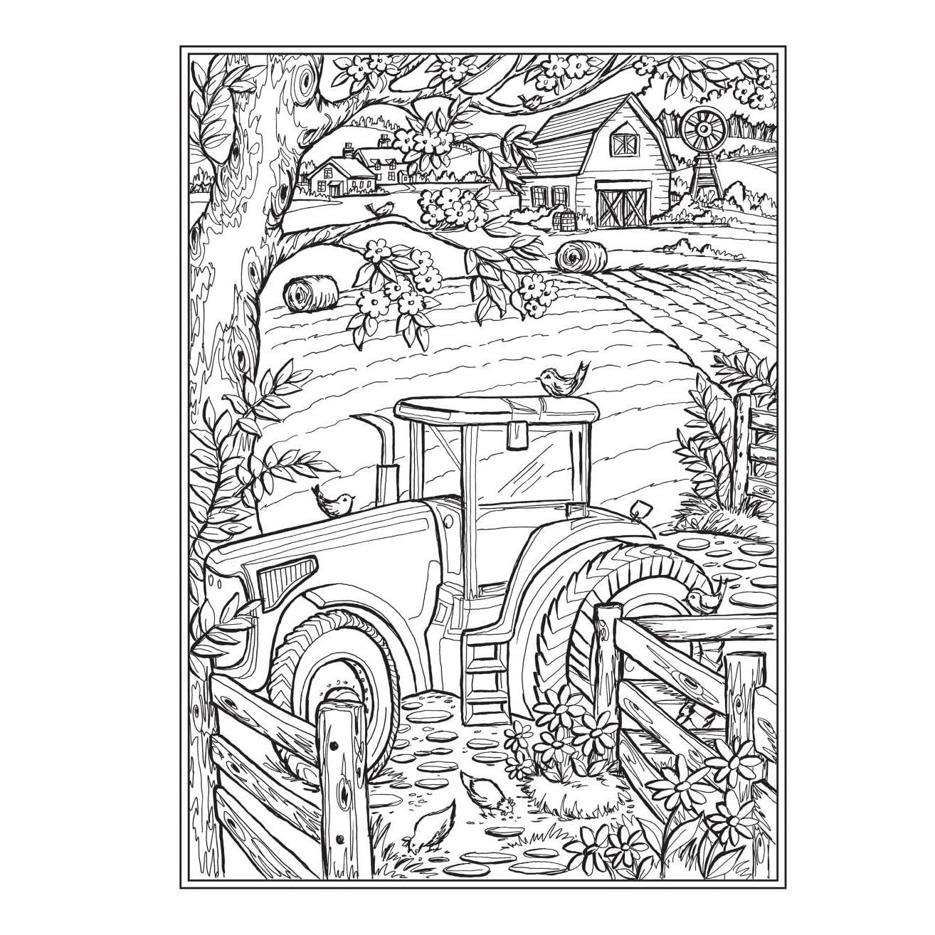 Creative Haven Country Farm Scenes Coloring Book