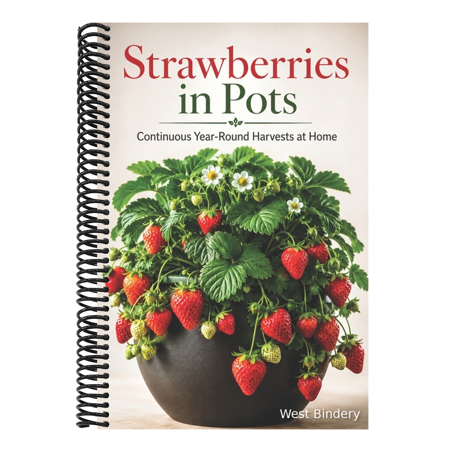Strawberries in Pots: Continuous Year-Round Harvests at Home
