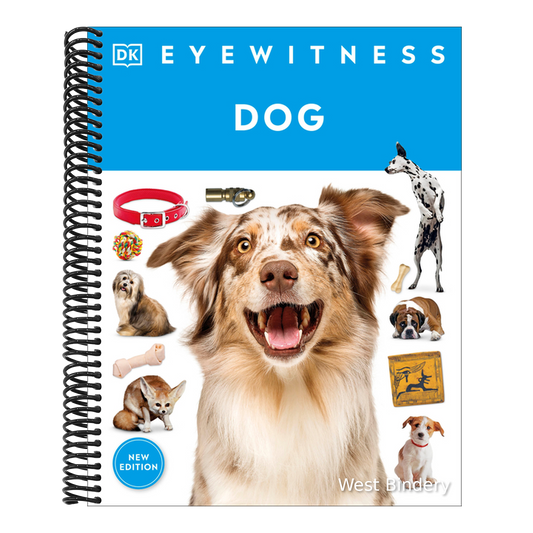 Eyewitness Dog