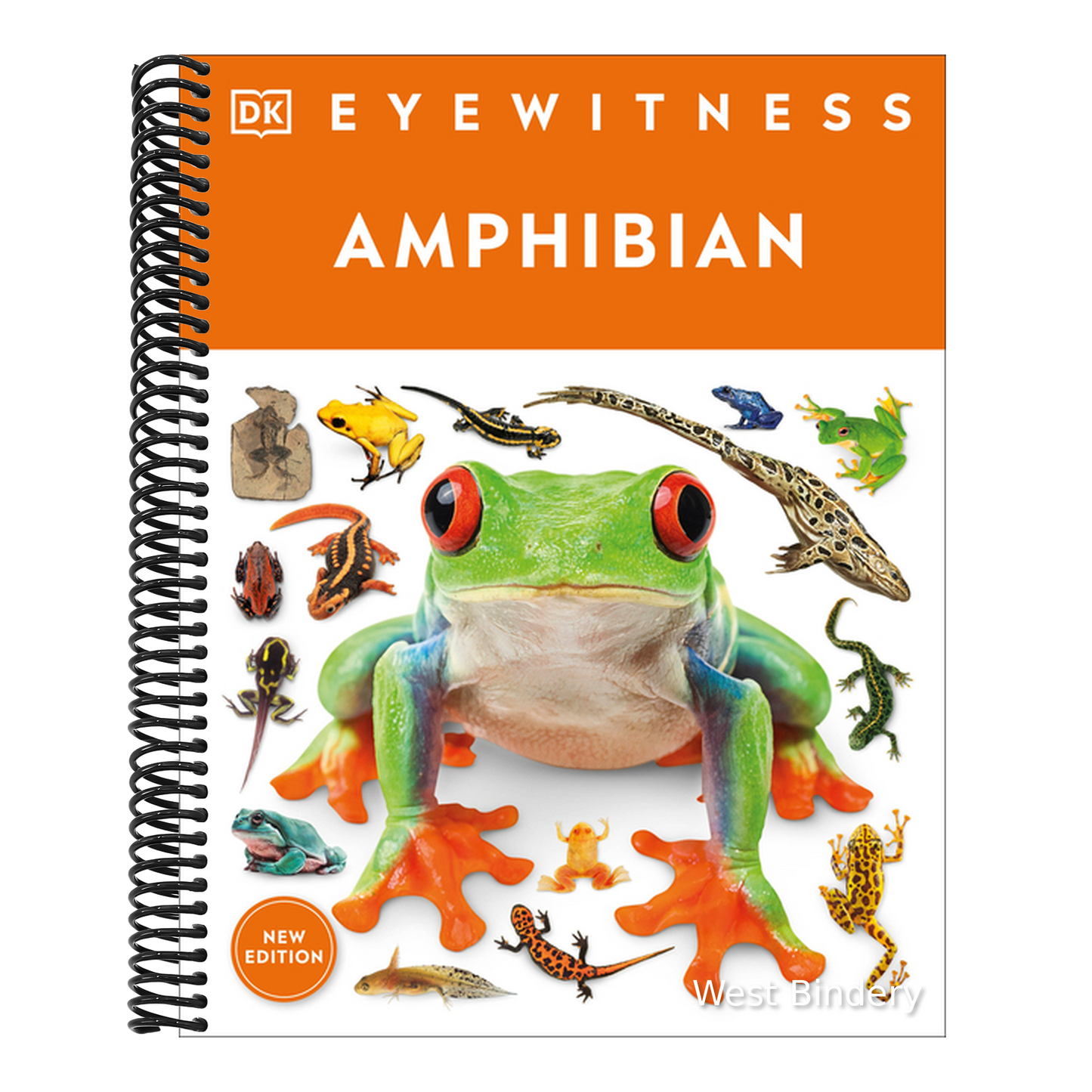 Eyewitness Amphibian