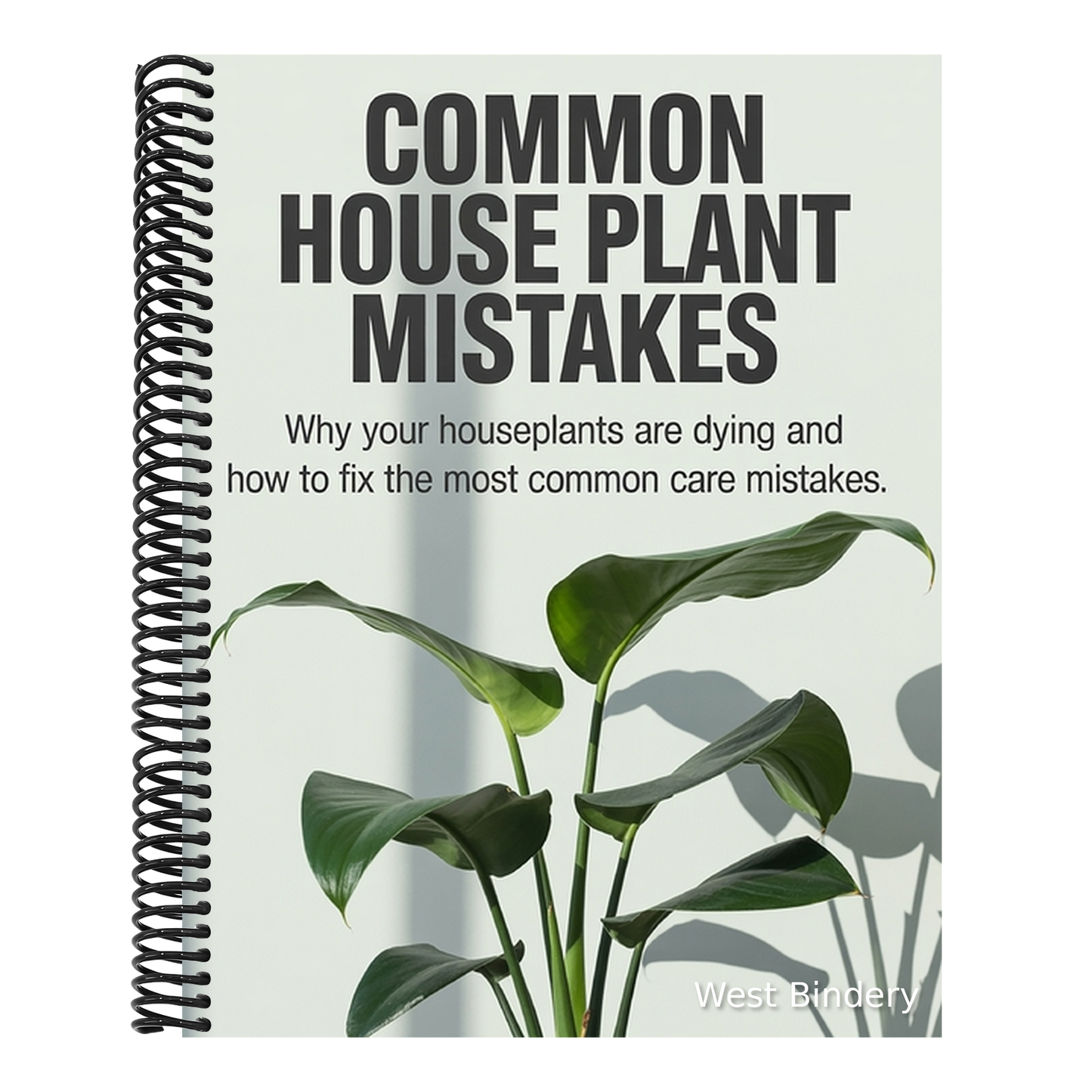 Common House Plant Mistakes: Why Your Houseplants Are Dying and How to Fix the Most Common Care Mistakes