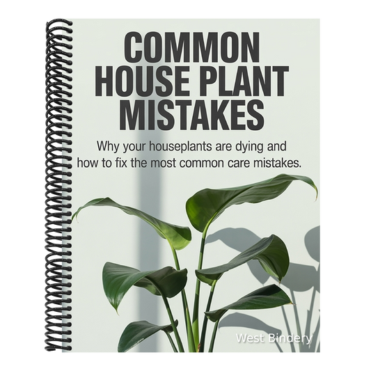 Common House Plant Mistakes: Why Your Houseplants Are Dying and How to Fix the Most Common Care Mistakes