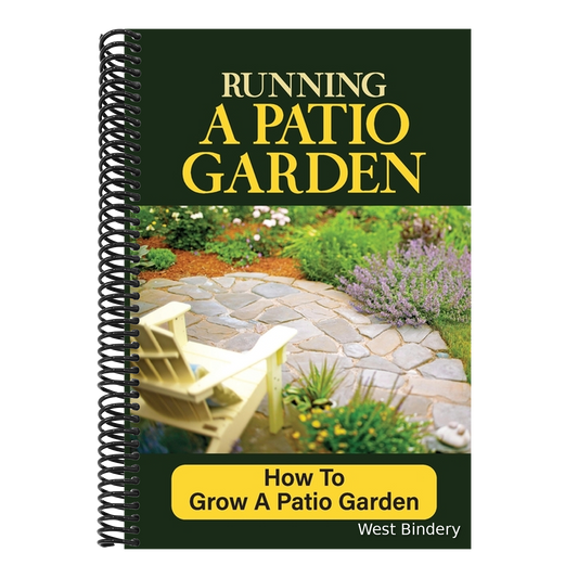 Running A Patio Garden: How To Grow A Patio Garden: Patio Gardening For Beginners