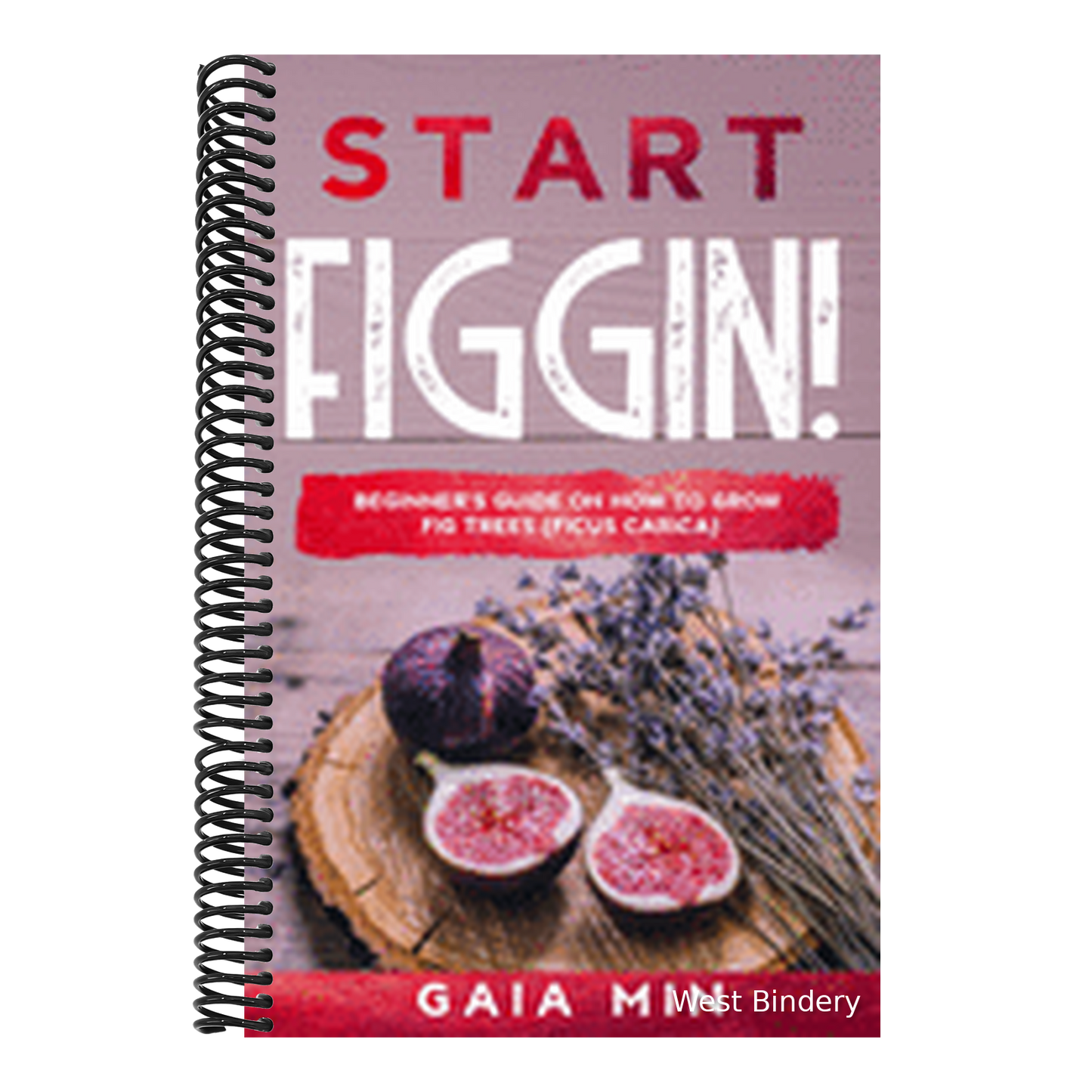 Start Figgin!: Beginner's Guide On How To Grow Fig Trees (Ficus carica)