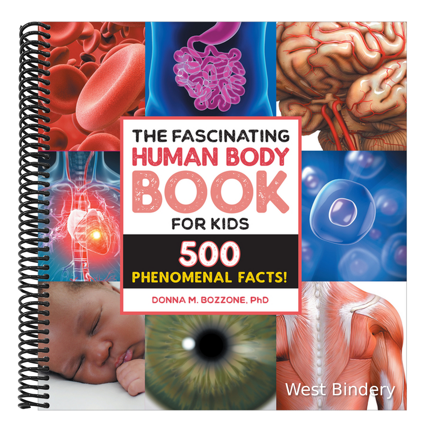 The Fascinating Human Body Book for Kids: 500 Phenomenal Facts!