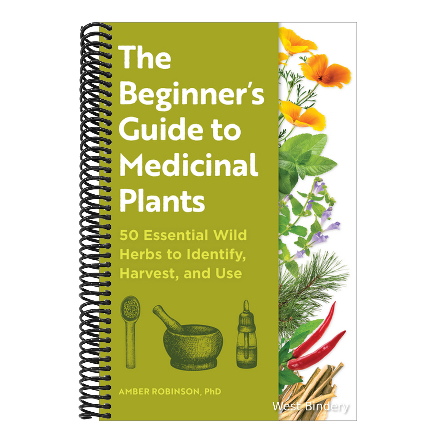 The Beginner's Guide to Medicinal Plants: 50 Essential Wild Herbs to Identify, Harvest, and Use