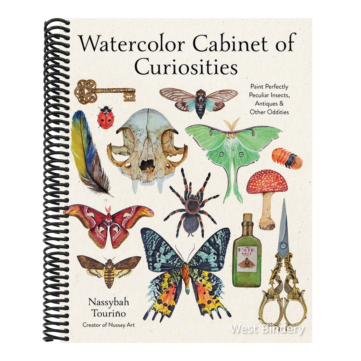 Watercolor Cabinet of Curiosities: Paint Perfectly Peculiar Insects, Antiques & Other Oddities