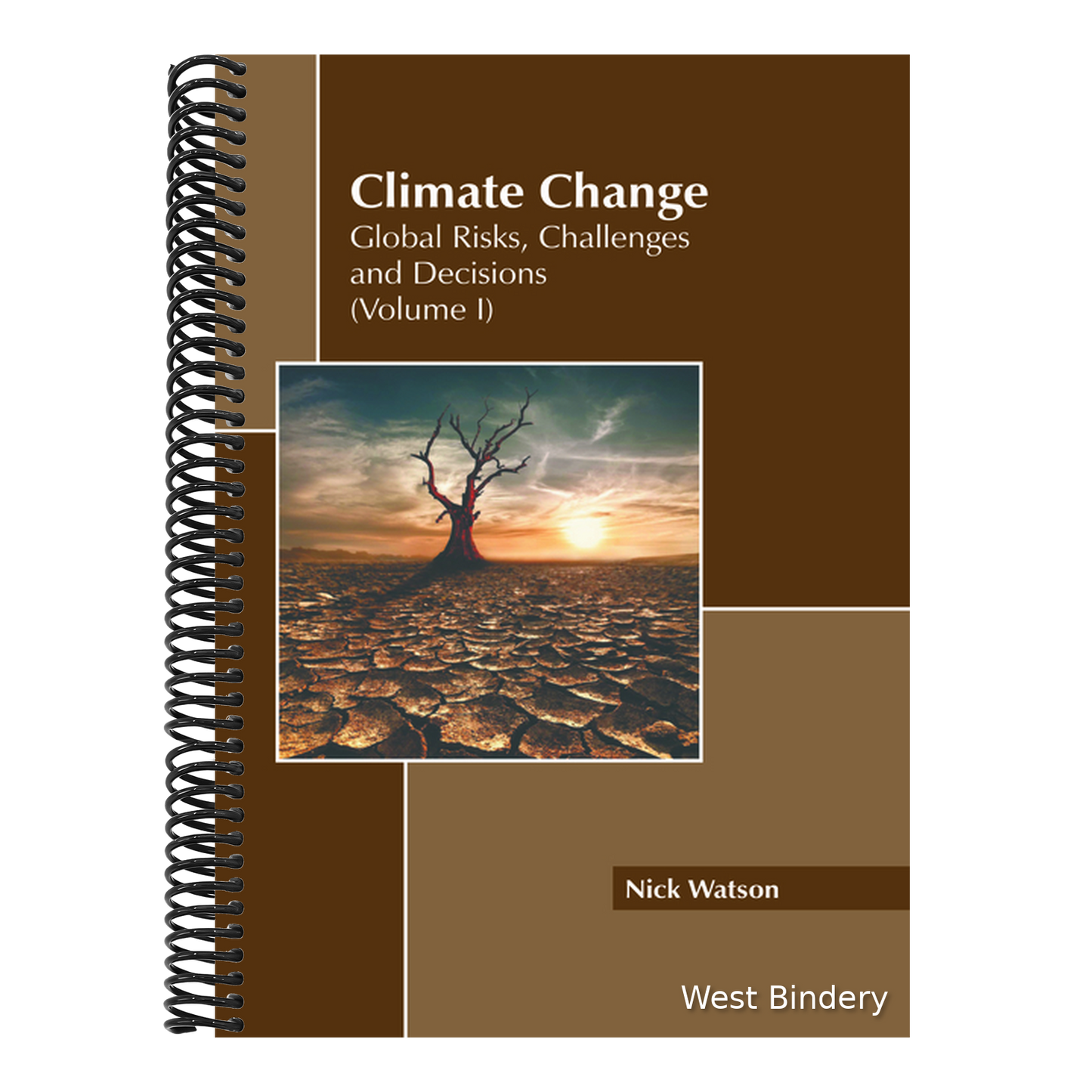 Climate Change: Global Risks, Challenges and Decisions (Volume I)