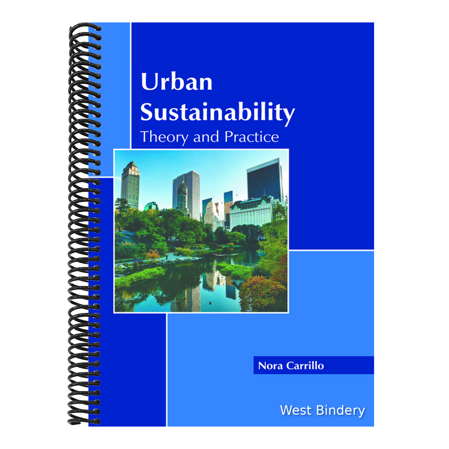 Urban Sustainability: Theory and Practice