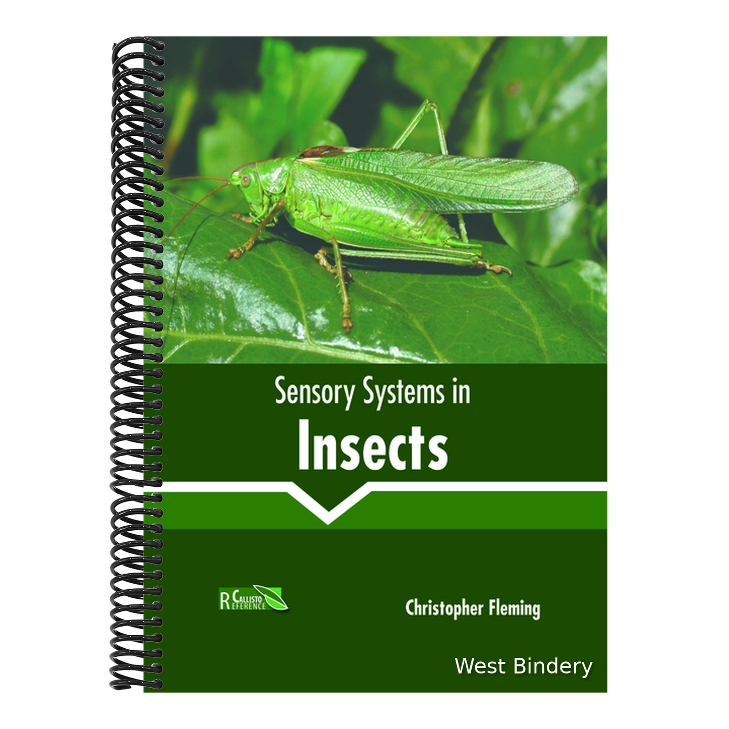 Sensory Systems in Insects