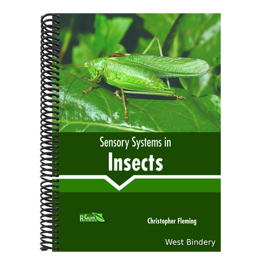 Sensory Systems in Insects