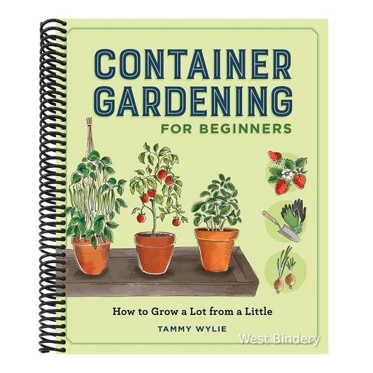 Container Gardening for Beginners: How to Grow a Lot from a Little