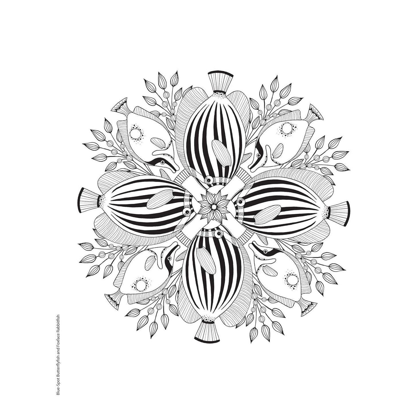 Creative Haven Stunning Sea Life Mandalas Coloring Book