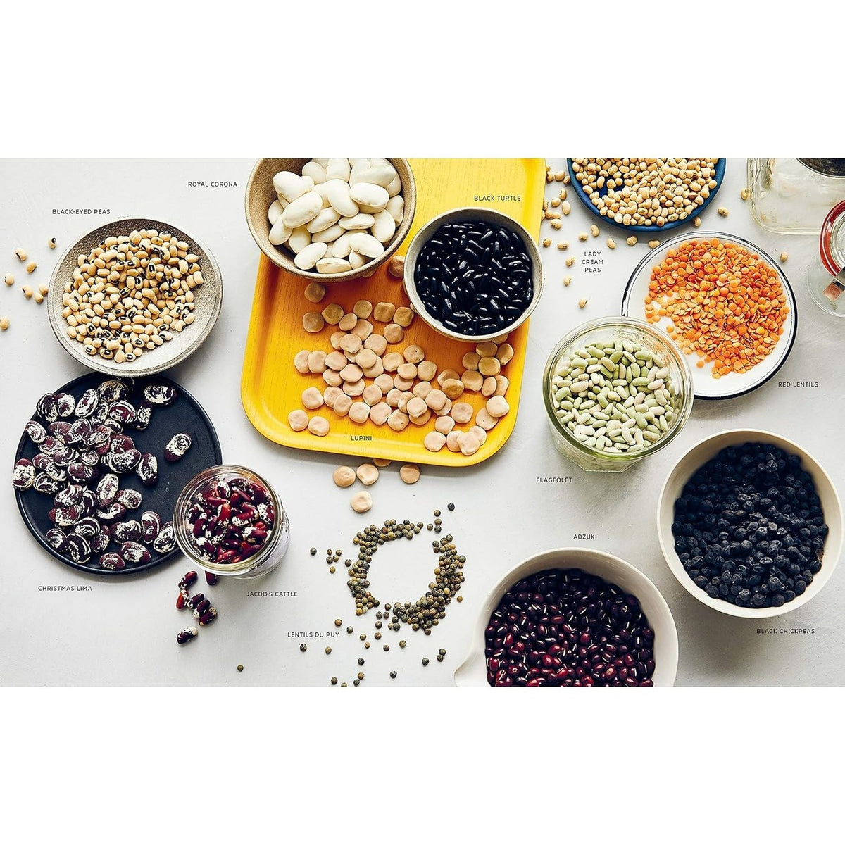 Cool Beans: The Ultimate Guide to Cooking with the World's Most Versatile Plant-Based Protein, with 125 Recipes [A Cookbook] (Spiral Bound)