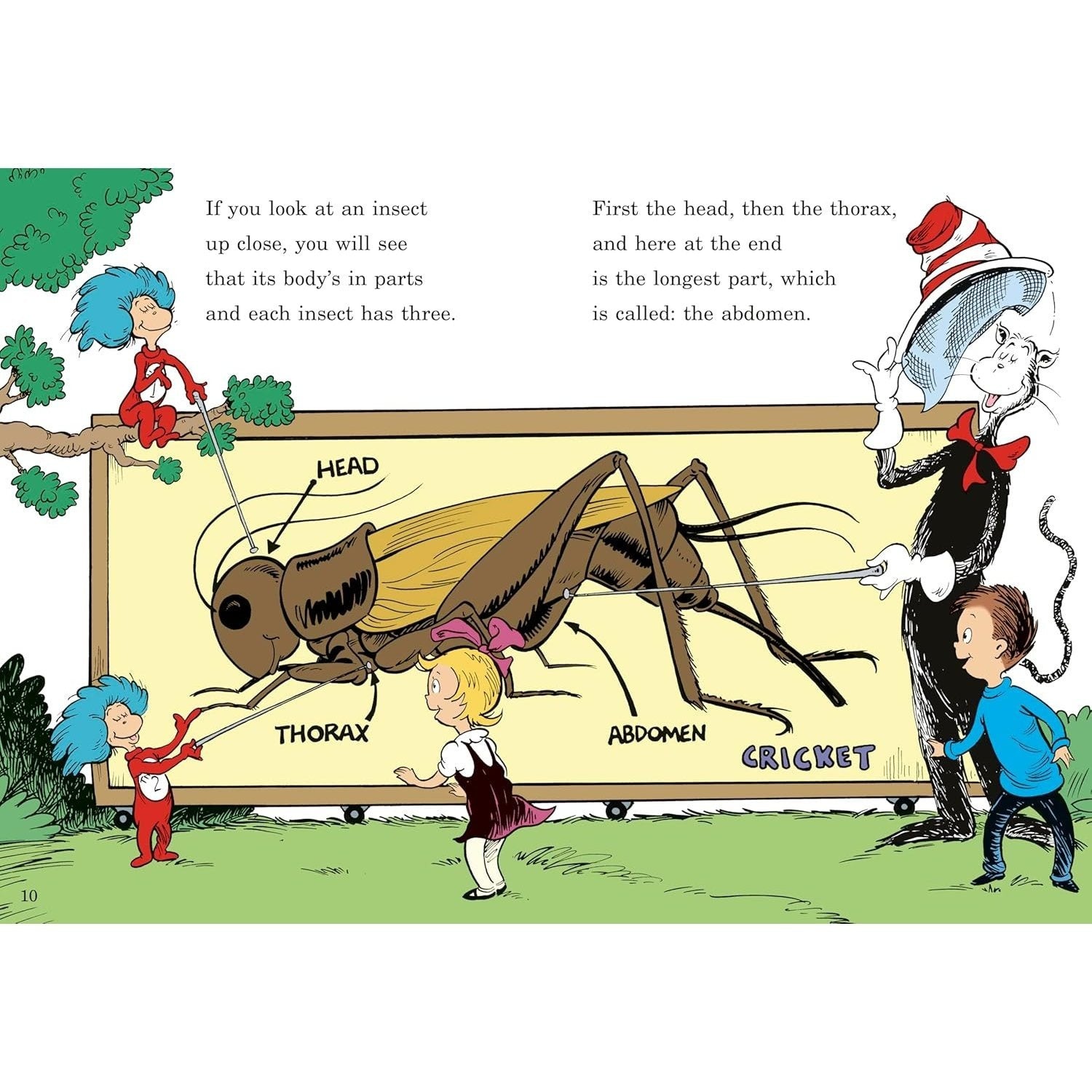 On Beyond Bugs! All about Insects (Cat in the Hat's Learning Library) (Spiral Bound)