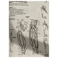 The Anatomy Coloring Book