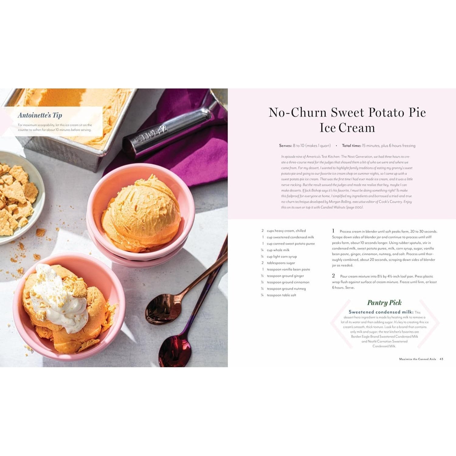 Mostly Homemade: 100 Recipes to Help You Save Time and Money While Eating Better (Spiral Bound)
