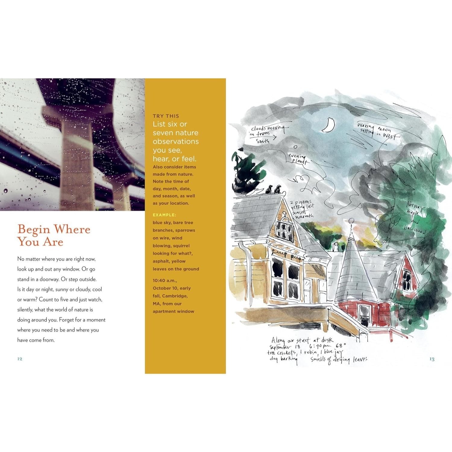 The Curious Nature Guide: Explore the Natural Wonders All Around You