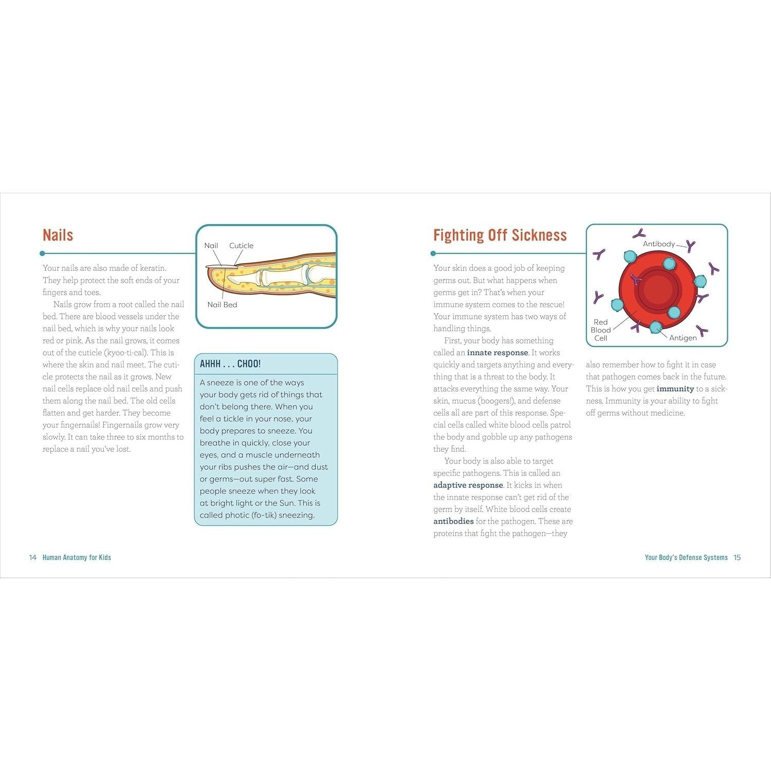 Human Anatomy for Kids: A Junior Scientist's Guide to How We Move, Breathe, and Grow