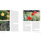 Companion Planting for Beginners: Pair Your Plants for a Bountiful, Chemical-Free Vegetable Garden (Spiral Bound)
