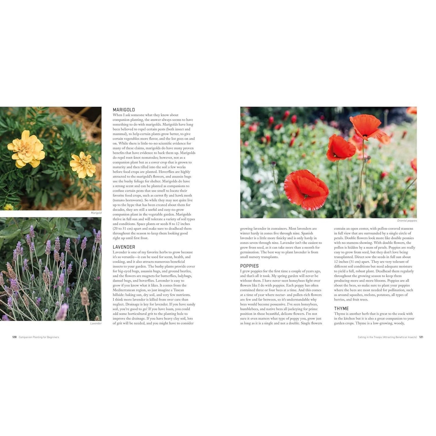 Companion Planting for Beginners: Pair Your Plants for a Bountiful, Chemical-Free Vegetable Garden (Spiral Bound)