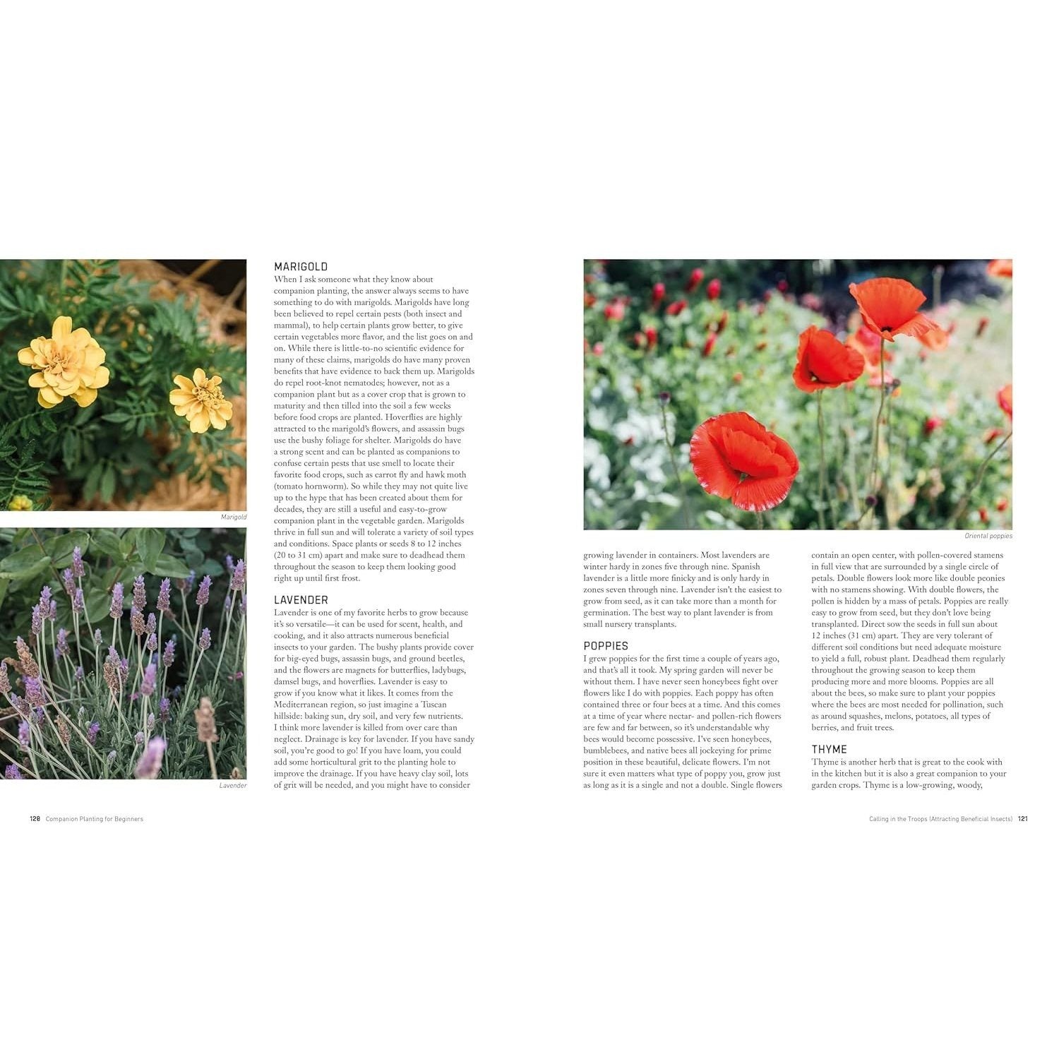 Companion Planting for Beginners: Pair Your Plants for a Bountiful, Chemical-Free Vegetable Garden (Spiral Bound)