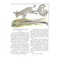 Aesop's Fables for Children