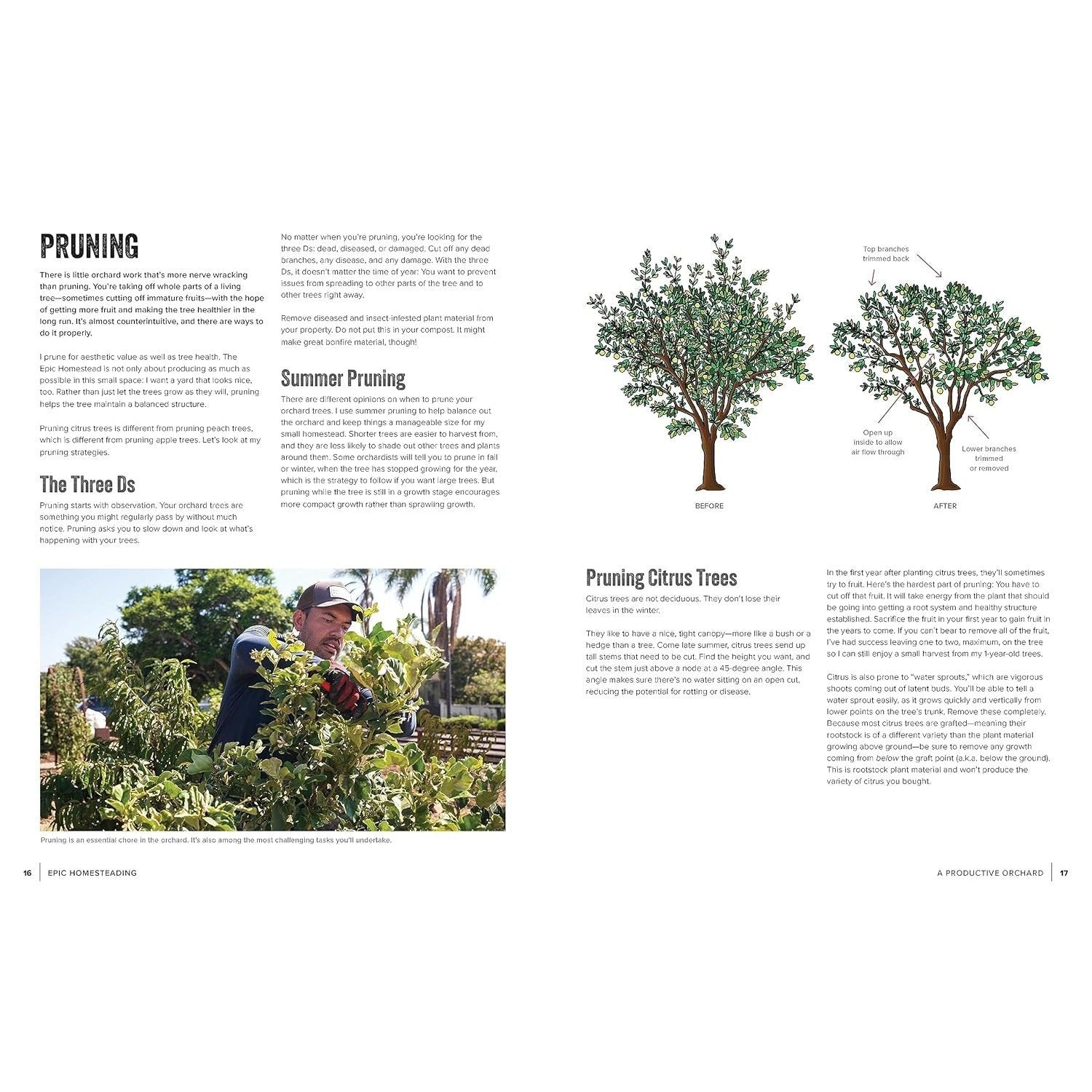Epic Homesteading: Your Guide to Self-Sufficiency on a Modern, High-Tech, Backyard Homestead (Spiral Bound)