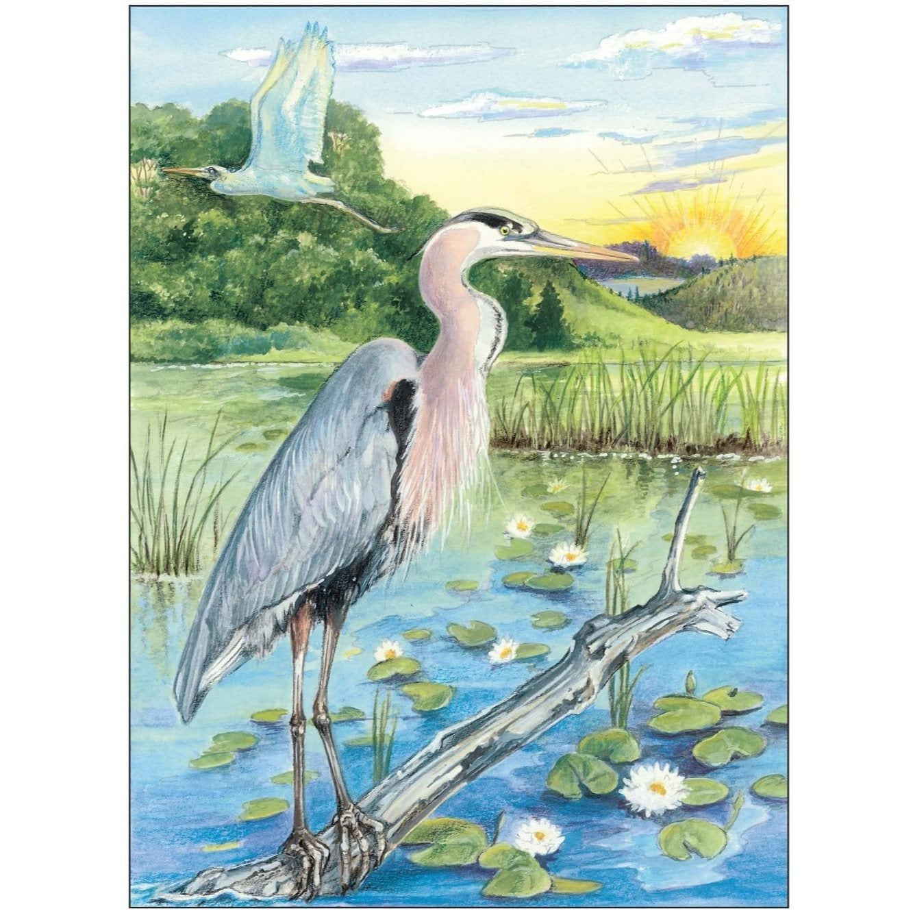 Creative Haven Beautiful Birds Coloring Book