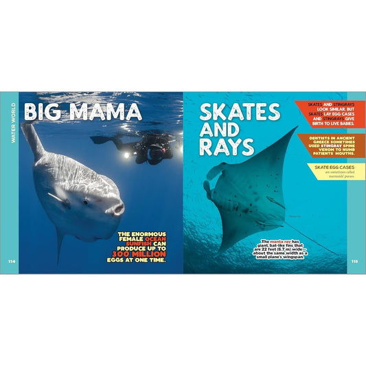 The Fascinating Animal Book for Kids: 500 Wild Facts! (Fascinating Facts)