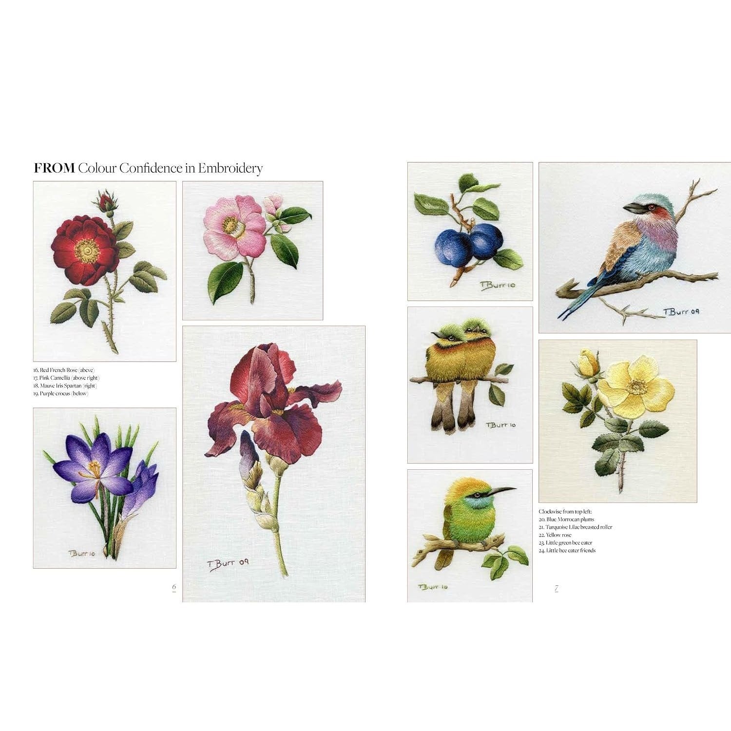 Trish Burr's Embroidery Transfers: Over 70 Iron-On Designs