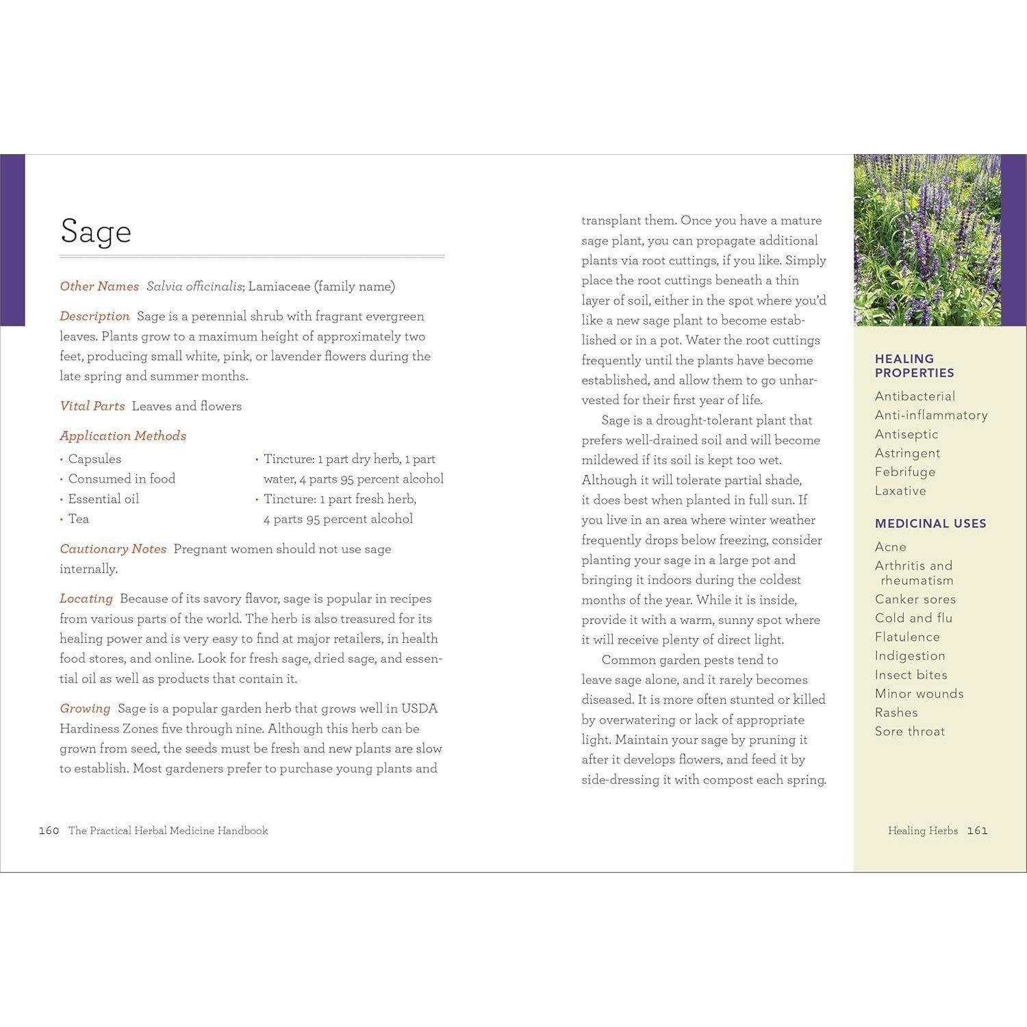 The Practical Herbal Medicine Handbook: Your Quick Reference Guide to Healing Herbs & Remedies