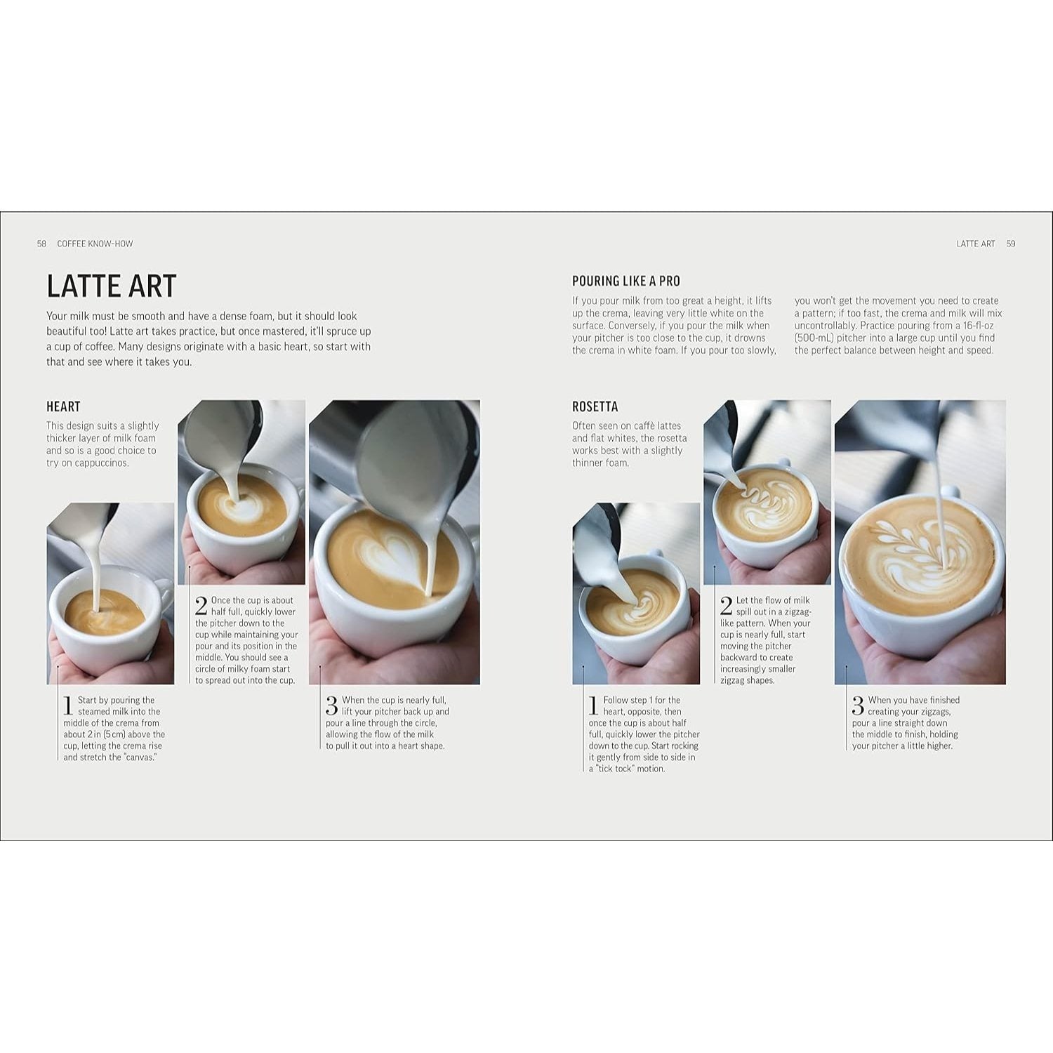 The Coffee Book: Barista Tips * Recipes * Beans from Around the World (Spiral Bound)