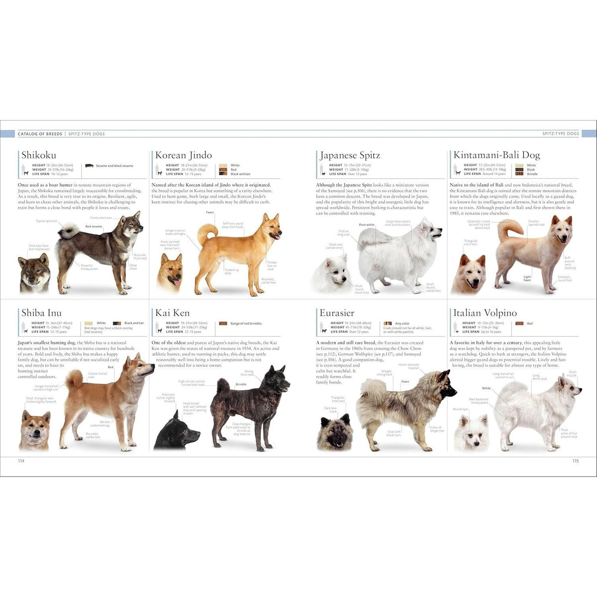 The Dog Encyclopedia: The Definitive Visual Guide (DK Pet Encyclopedias) (2ND ed.) (Spiral Bound)