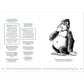The Big Book of Silly Jokes for Kids 2: 800+ Jokes (Silly Jokes)