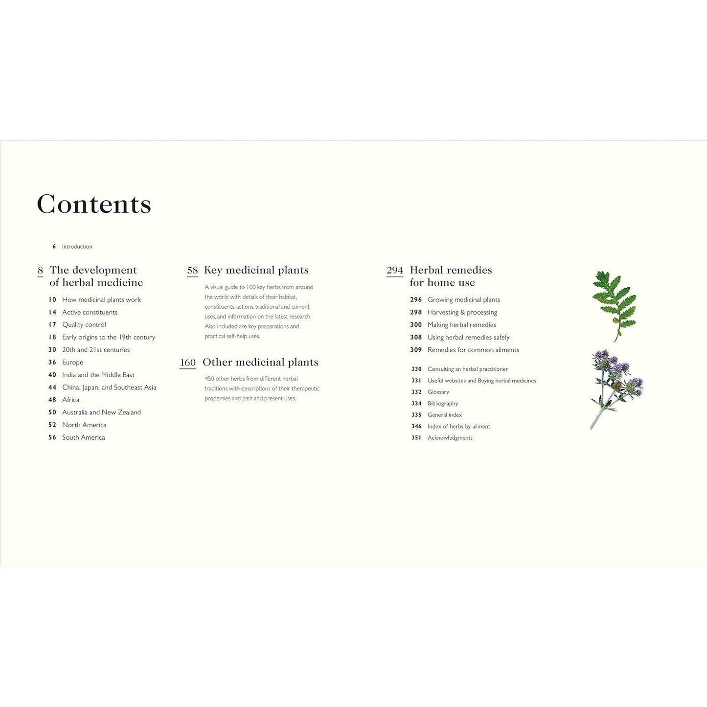 Encyclopedia of Herbal Medicine New Edition: 560 Herbs and Remedies for Common Ailments