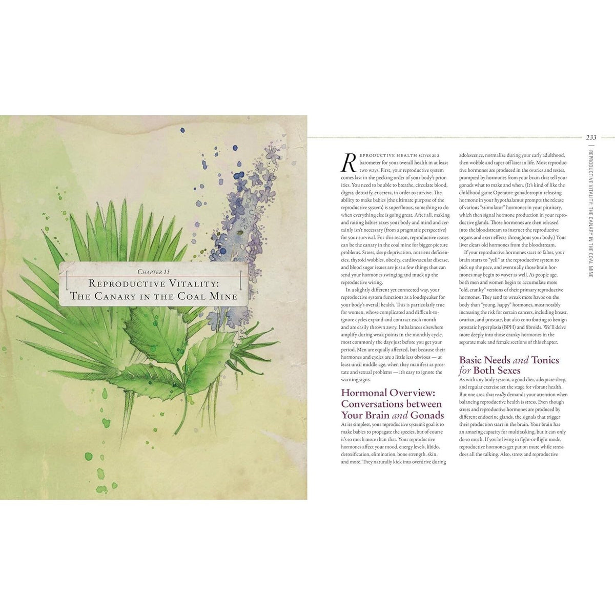 Body Into Balance: An Herbal Guide to Holistic Self-Care (Spiral Bound)