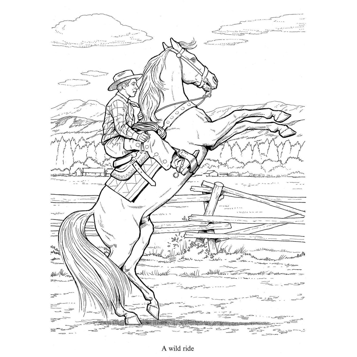 Wonderful World of Horses Coloring Book (Spiral Bound)