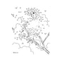 Birds Dot-To-Dot Coloring Book