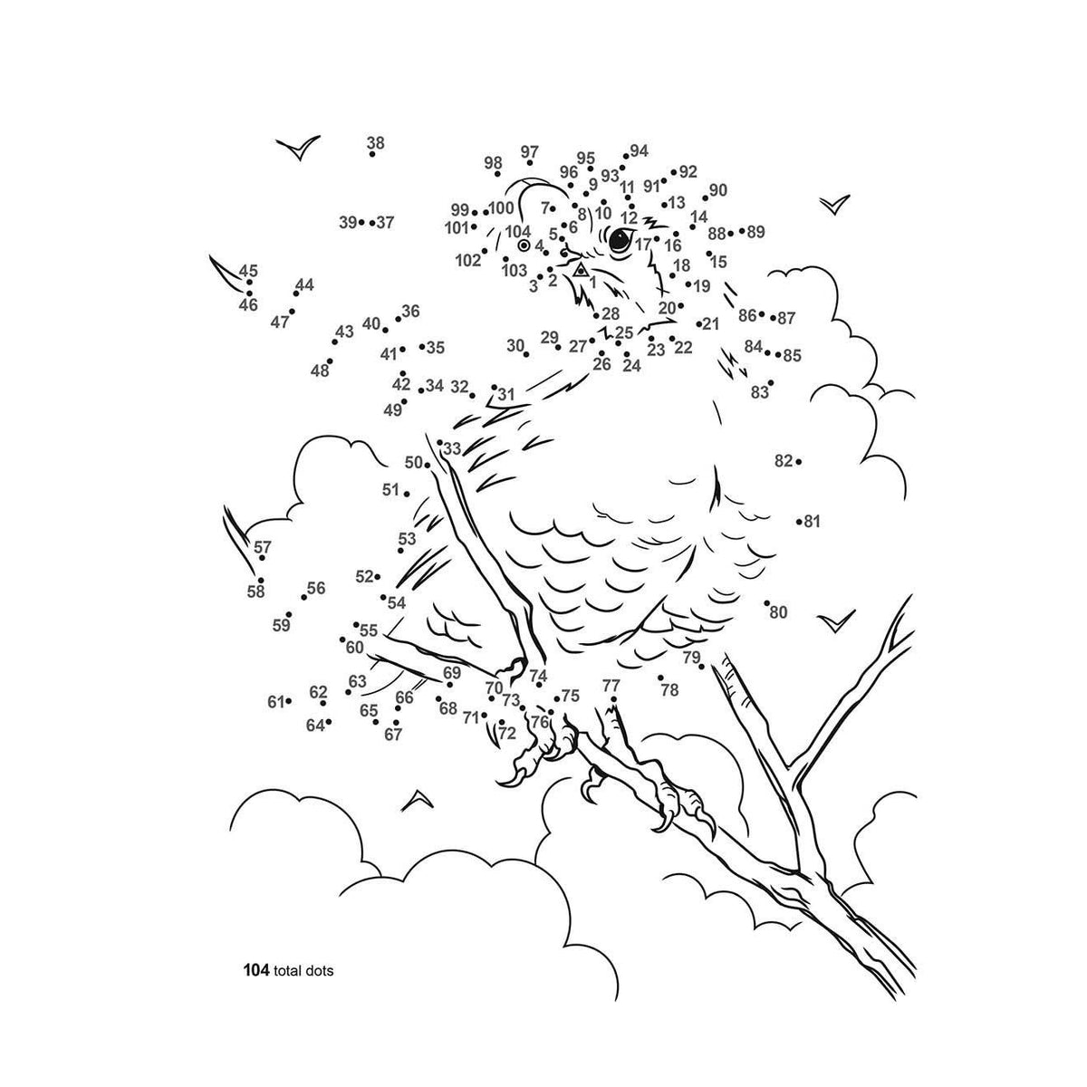 Birds Dot-To-Dot Coloring Book