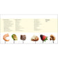 Essential Fondue Cookbook: 75 Decadent Recipes to Delight and Entertain (Spiral Bound)