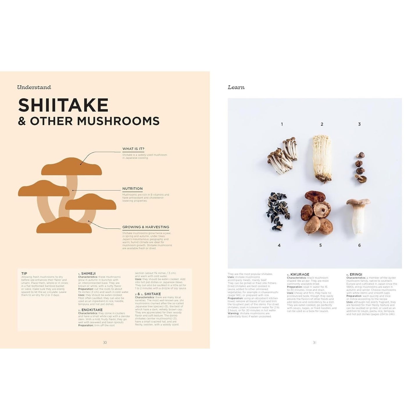 The Complete Illustrated Guide to Japanese Cooking: Techniques, Ingredients & Recipes