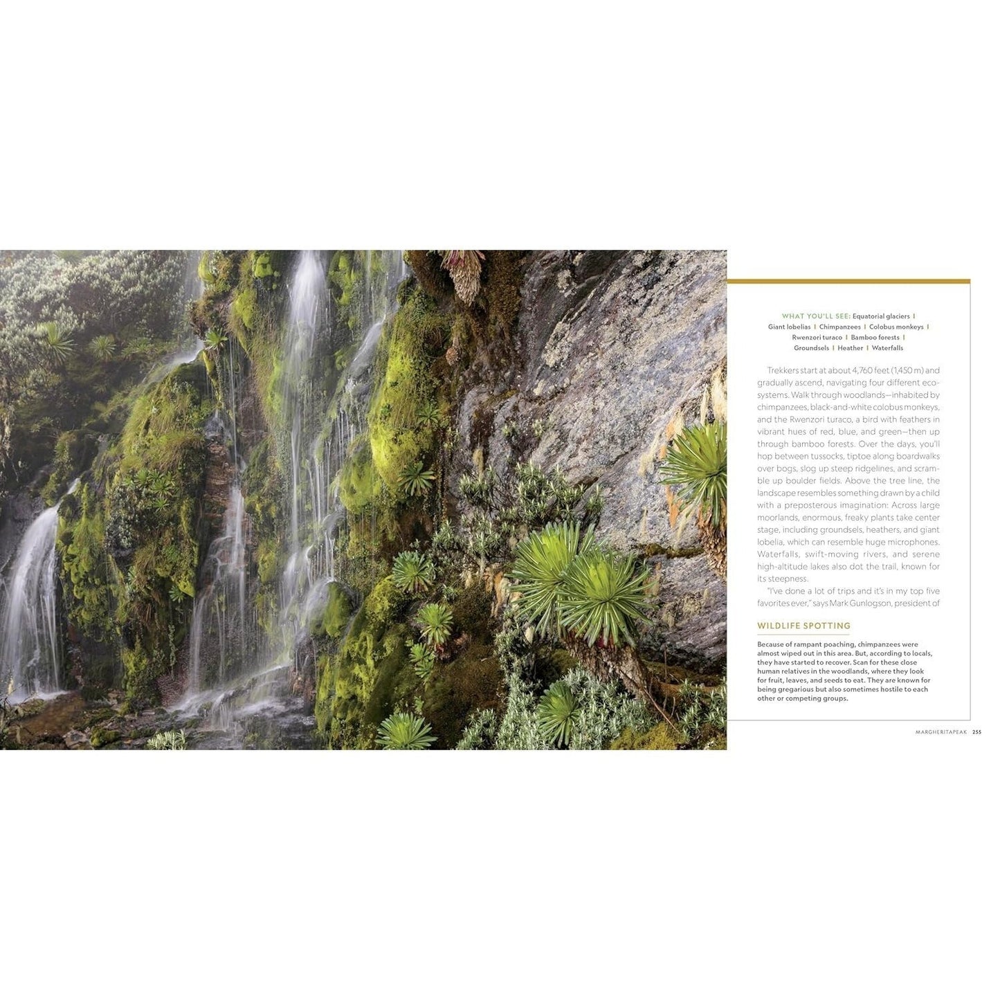 100 Hikes of a Lifetime: The World's Ultimate Scenic Trails