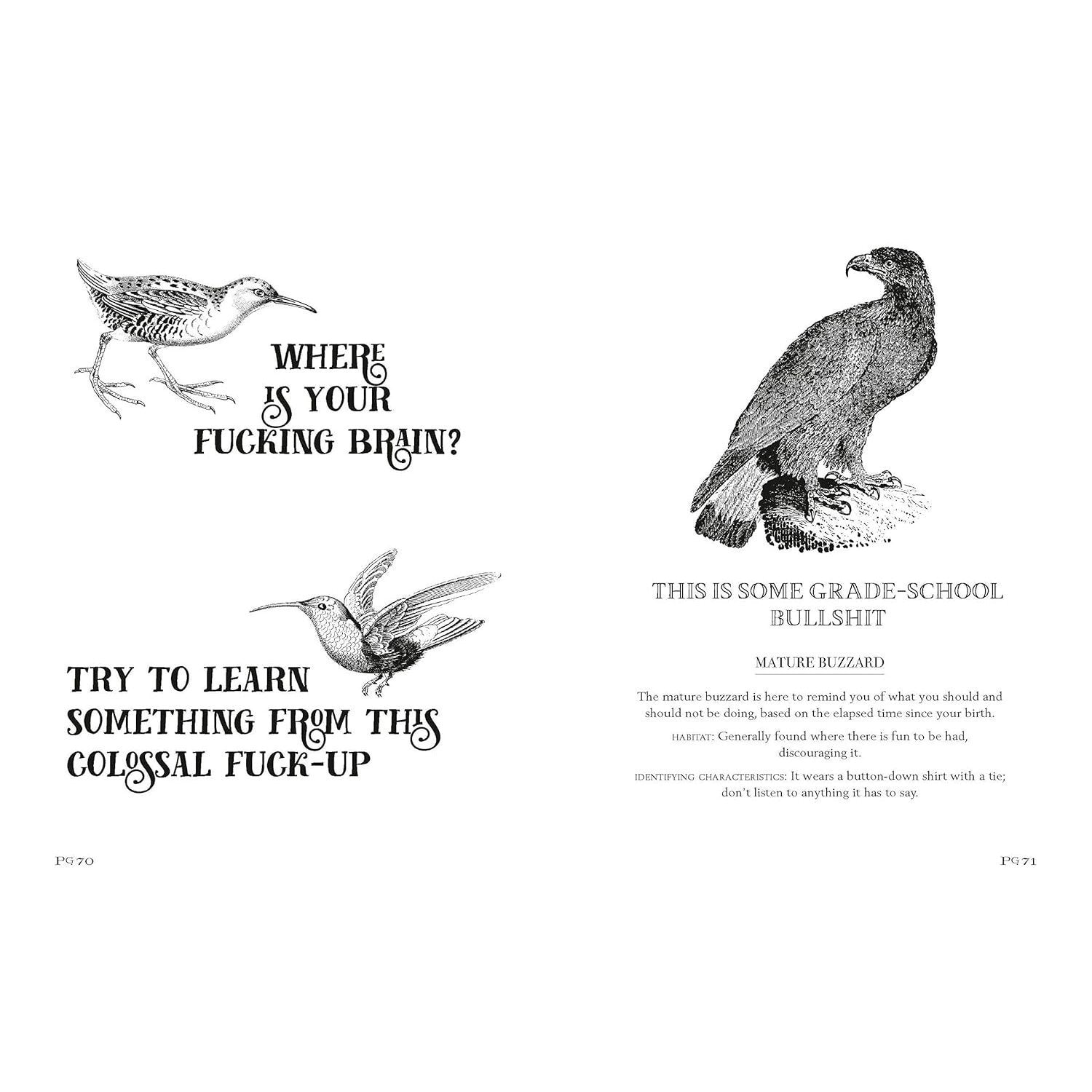 Effin' Birds: A Field Guide to Identification