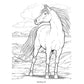 Wonderful World of Horses Coloring Book (Spiral Bound)