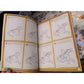 Wings of Fire: The Official How to Draw (Spiral Bound)