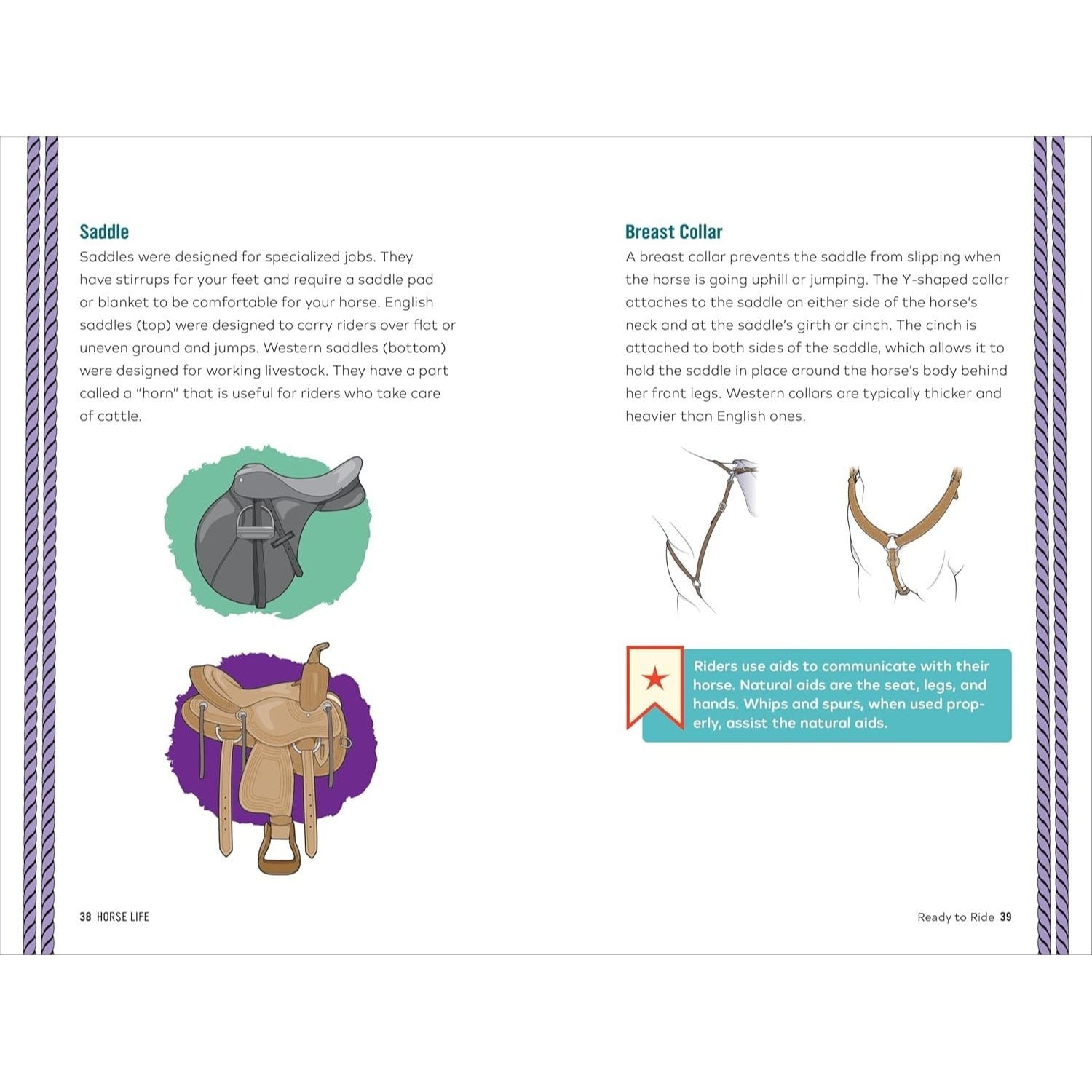 Horse Life: The Ultimate Guide to Caring for and Riding Horses for Kids