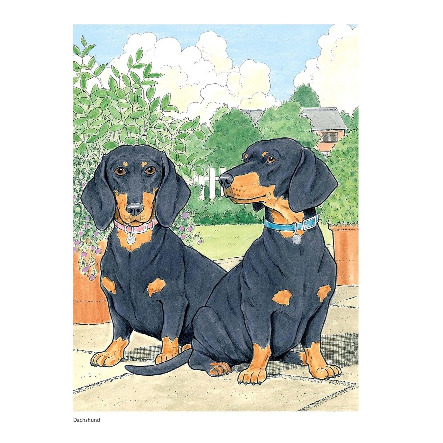 Creative Haven the Dog Lovers' Coloring Book