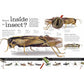 Everything You Need to Know about Bugs (Everything You Need to Know) (Spiral Bound)