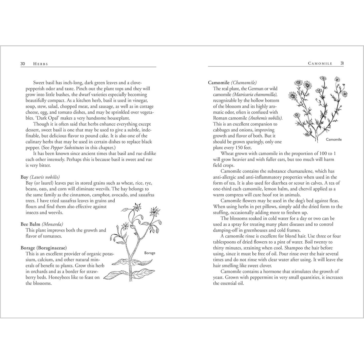 Carrots Love Tomatoes: Secrets of Companion Planting for Successful Gardening (Rev and Updated) (2ND ed.) (Spiral Bound)